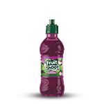 Blackcurrant Fruit Shoot 